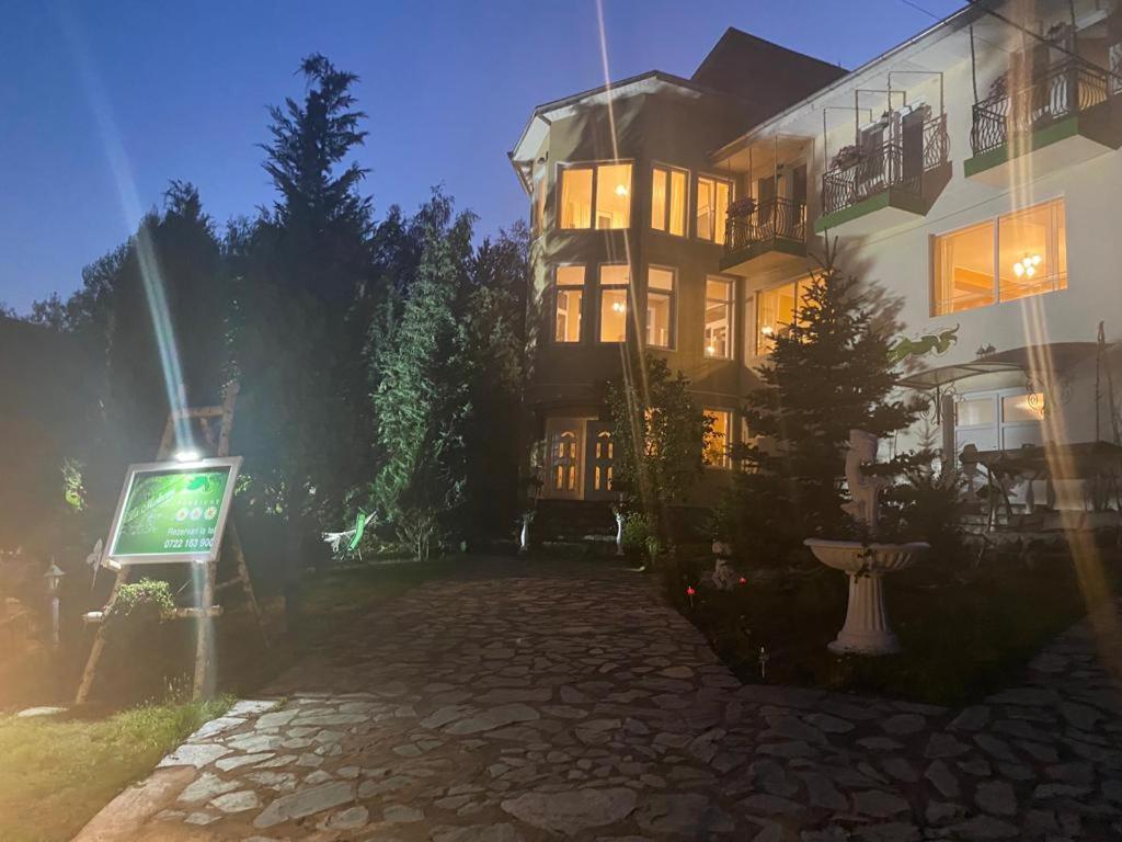 Pensiunea La Mesteceni -Zur Birke, Poiana Marului-Caras Severin Extérieur photo