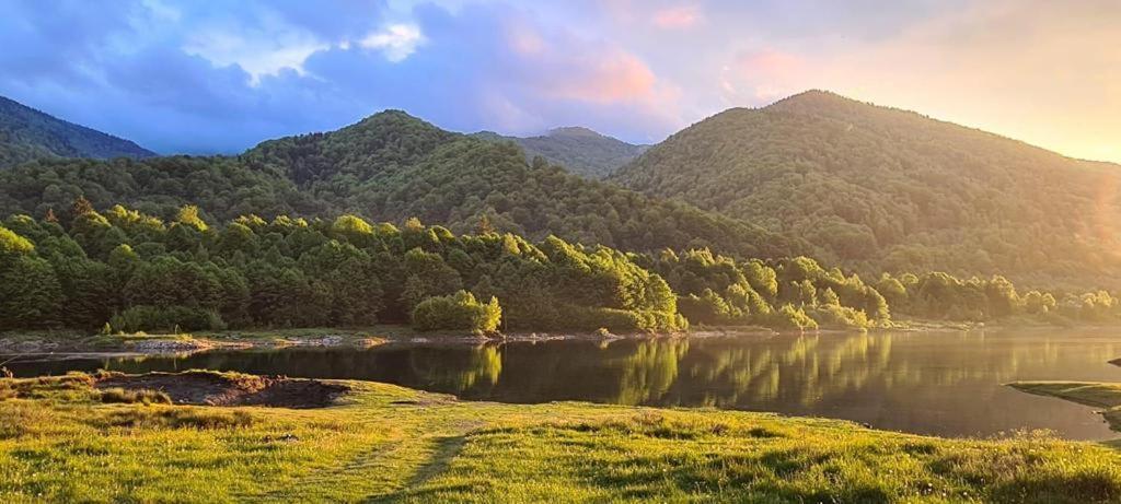 Pensiunea La Mesteceni -Zur Birke, Poiana Marului-Caras Severin Extérieur photo