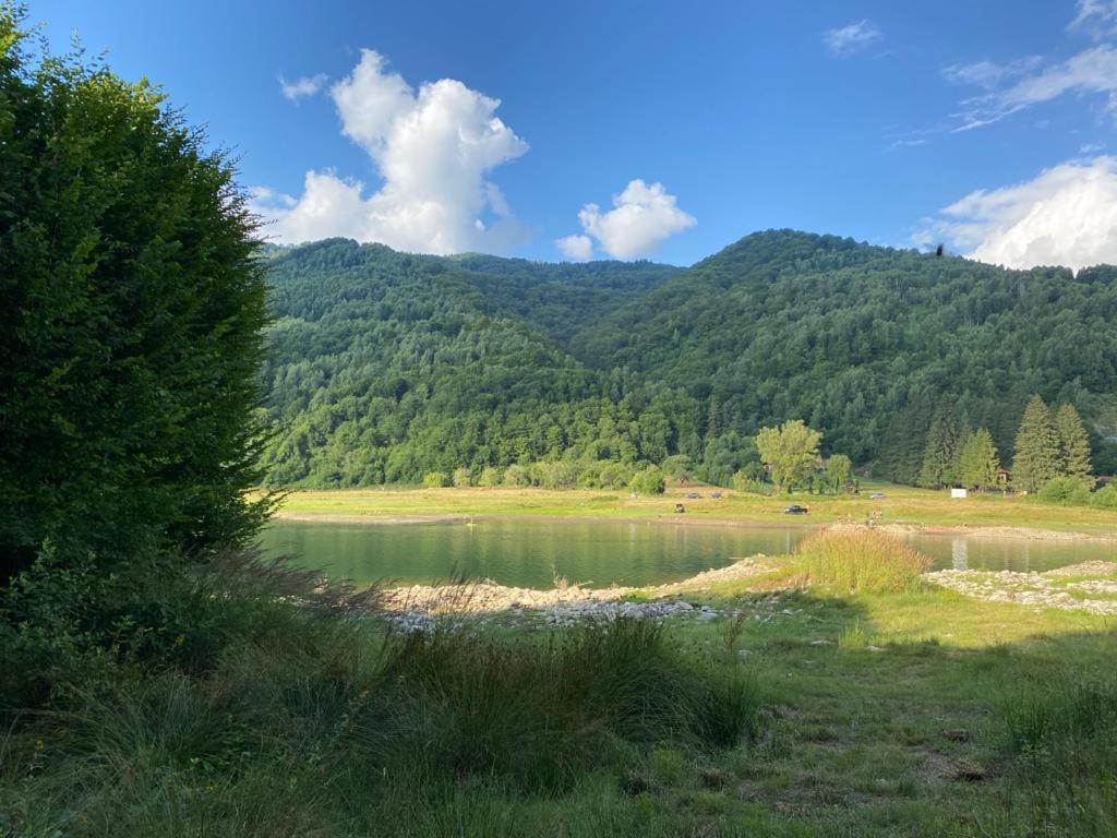 Pensiunea La Mesteceni -Zur Birke, Poiana Marului-Caras Severin Extérieur photo