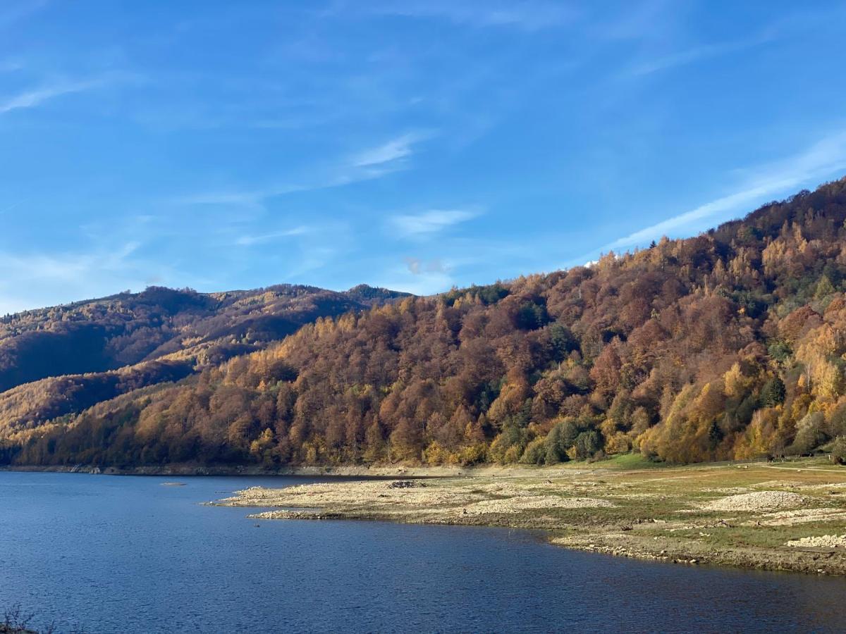 Pensiunea La Mesteceni -Zur Birke, Poiana Marului-Caras Severin Extérieur photo