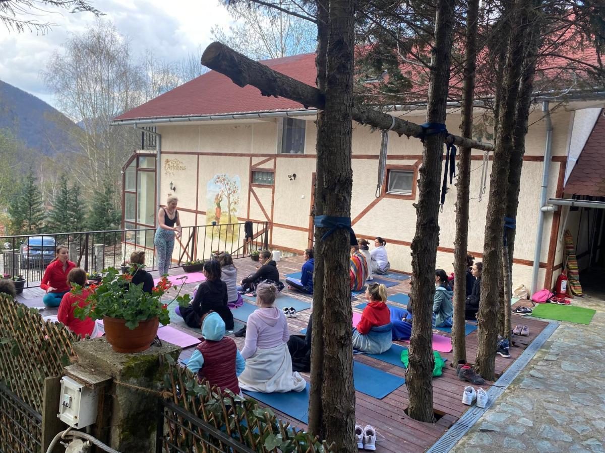 Pensiunea La Mesteceni -Zur Birke, Poiana Marului-Caras Severin Extérieur photo