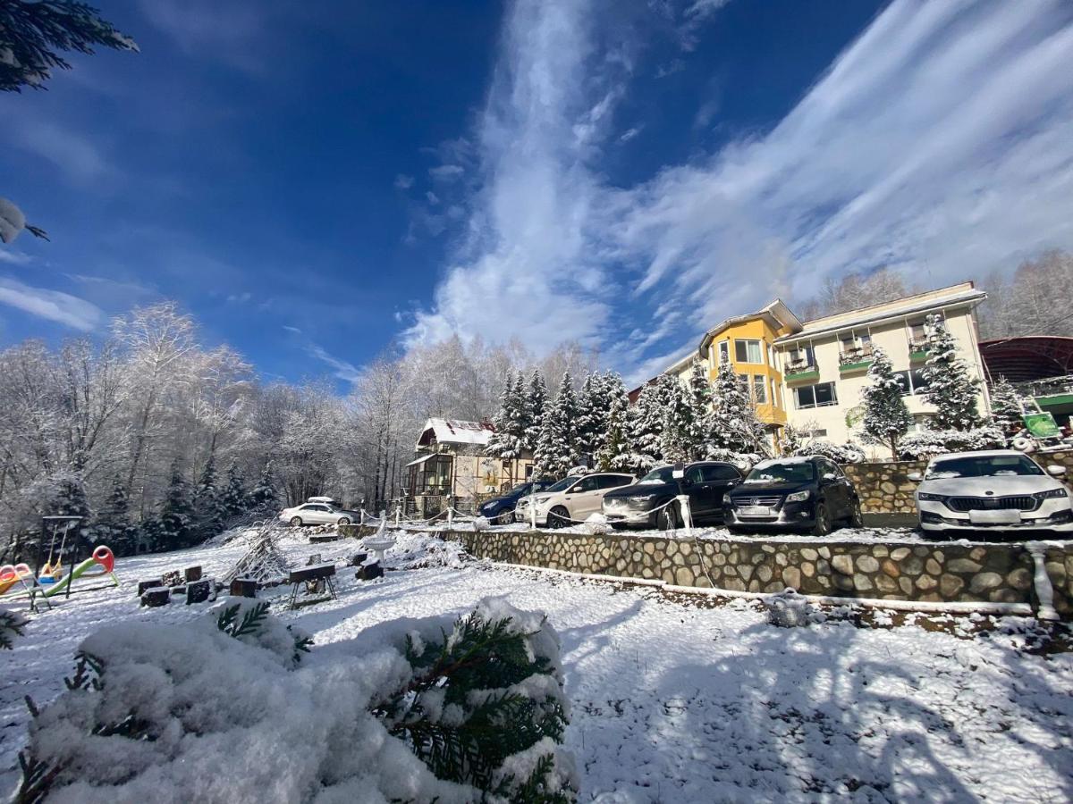 Pensiunea La Mesteceni -Zur Birke, Poiana Marului-Caras Severin Extérieur photo
