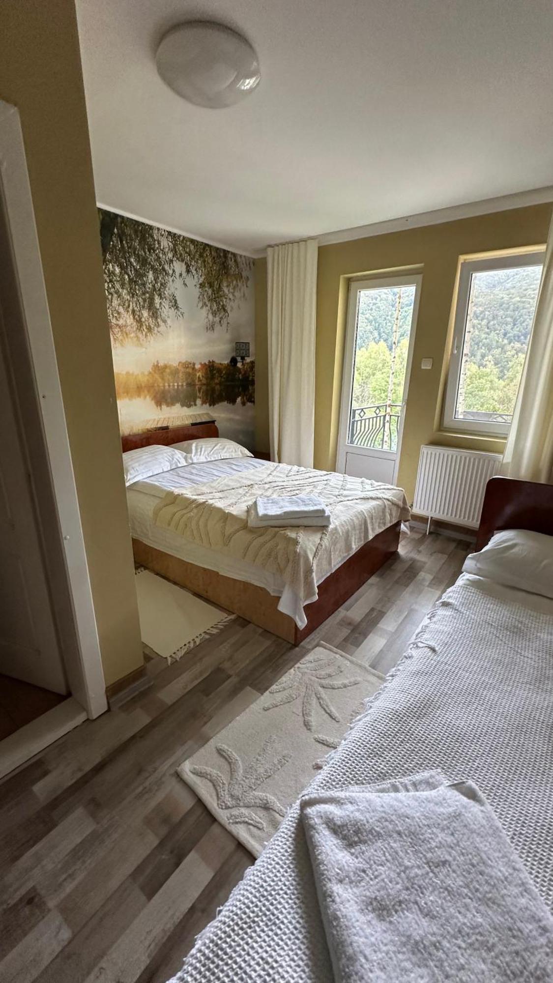 Pensiunea La Mesteceni -Zur Birke, Poiana Marului-Caras Severin Extérieur photo