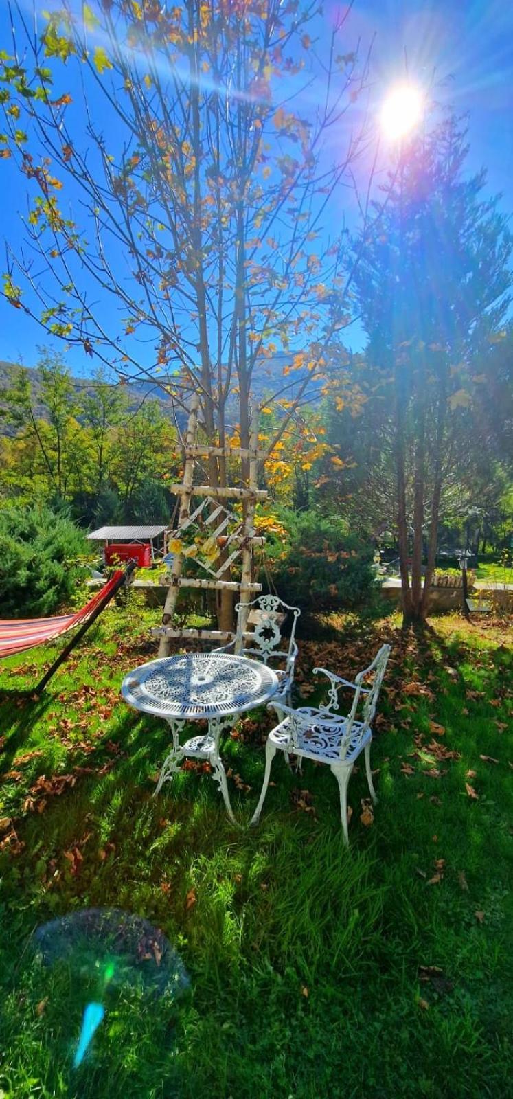 Pensiunea La Mesteceni -Zur Birke, Poiana Marului-Caras Severin Extérieur photo