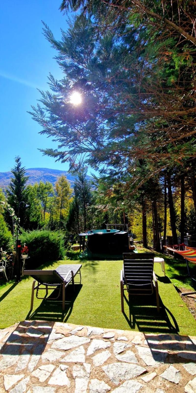 Pensiunea La Mesteceni -Zur Birke, Poiana Marului-Caras Severin Extérieur photo
